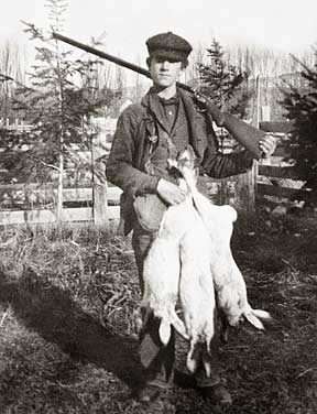 Jack Rabbit Hunter - Gildemeister stock photo